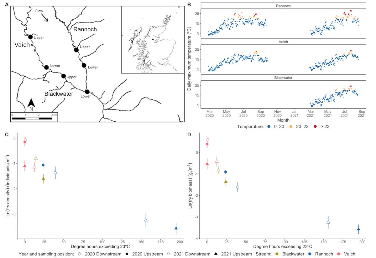 Our new brief communication in #JFB is published today! We show decreases in under yearling Atlantic salmon log biomass and log density as they experienced high summer temperatures in Scottish upland streams 🐟🌡️ @TheFSBI onlinelibrary.wiley.com/doi/10.1111/jf…