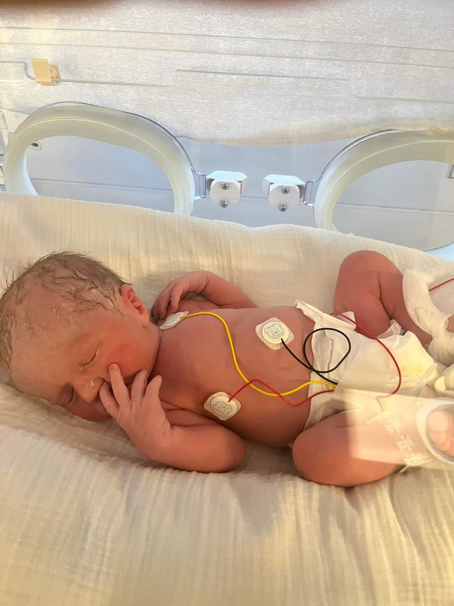 HealeyKerrey's tweet photo. My new little fox , 1 st born Grandson .. Kasper William 💙💙 
@LCFC @kschmeichel1 https://t.co/zVkkzHN61f