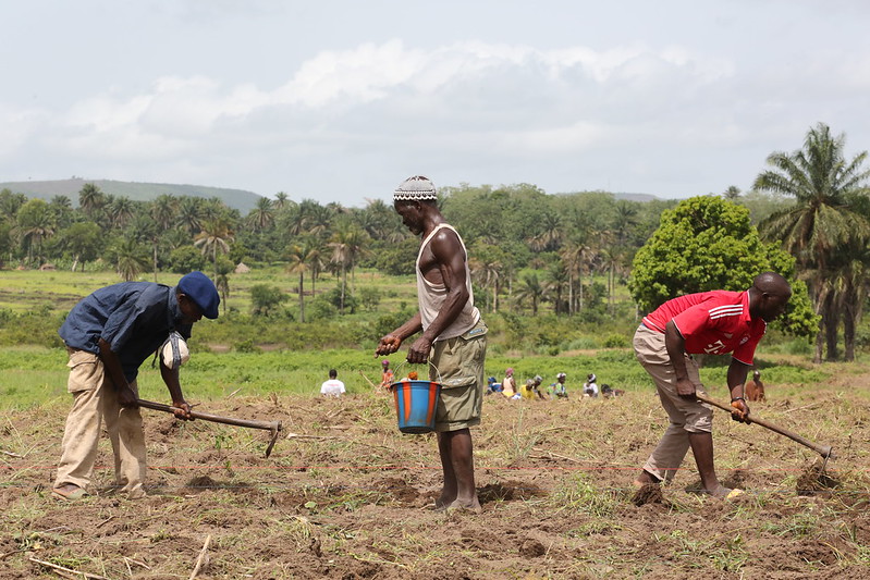 Across 15 #African countries <a href="/IFC_org/">IFC</a>’s new Africa Inclusive Insurance Program is delivering insurance solutions to protect farmers against #climatechange &amp; build resilience to natural disasters &amp; other shocks. #AfricaInclusiveInsurance