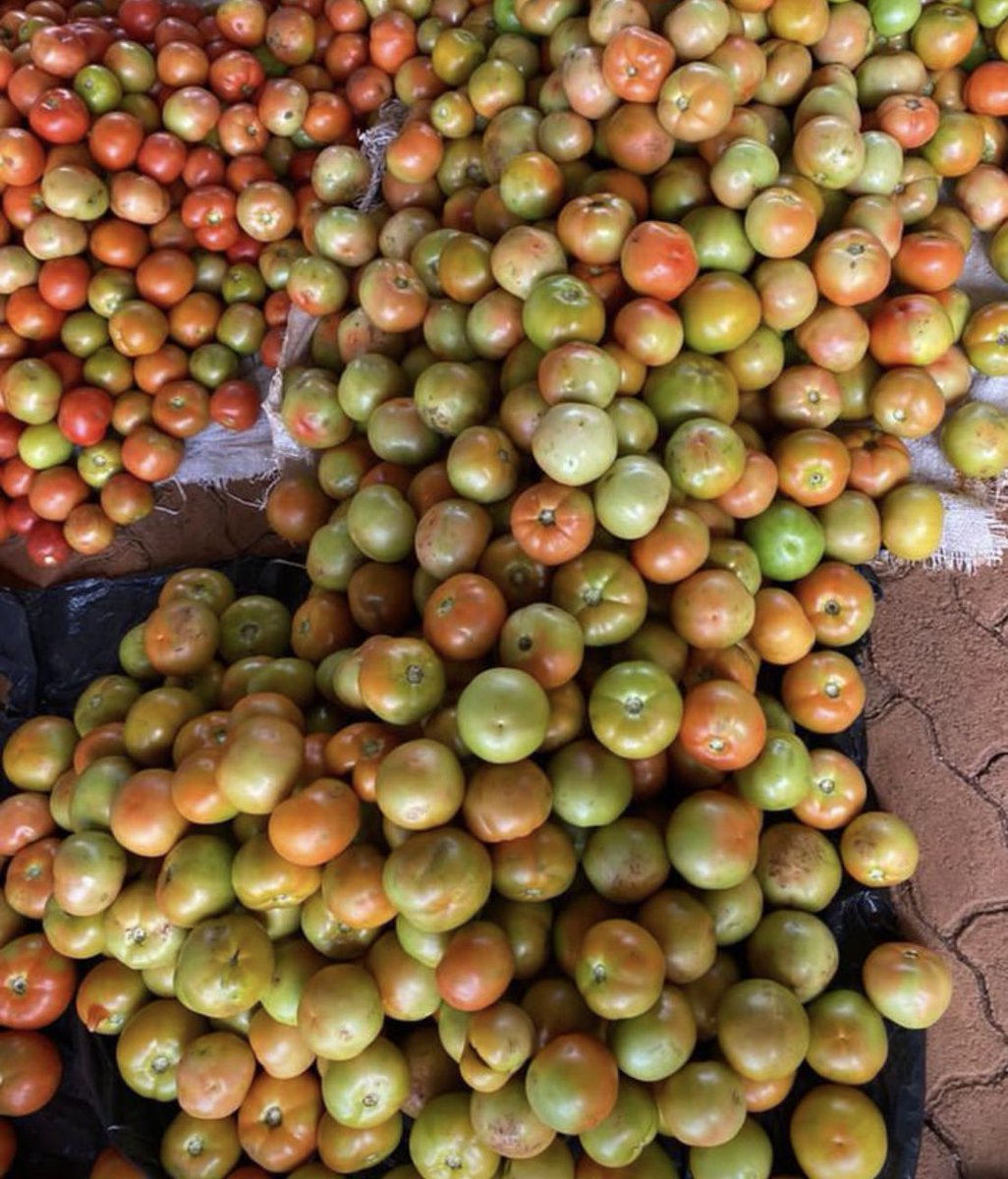 talent_carter's tweet image. Ndiri kutengesooo madomasi… #backyardproject