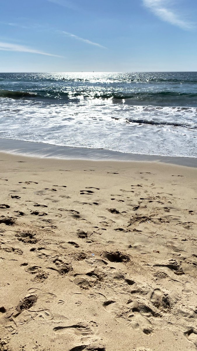 Salem_YQ's tweet photo. W A V E S 🌊 https://t.co/xIJtdxeo3L