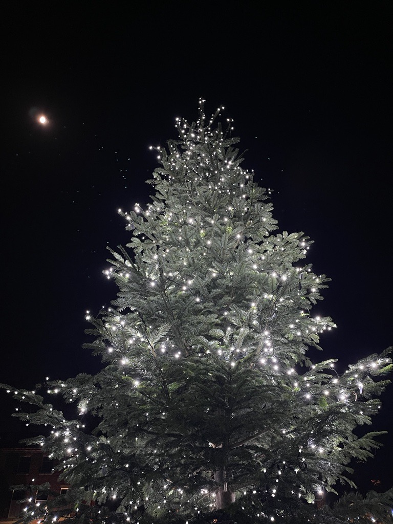 #MyPreston
We're loving the Christmas tree at Winckley Square Gardens 🎄