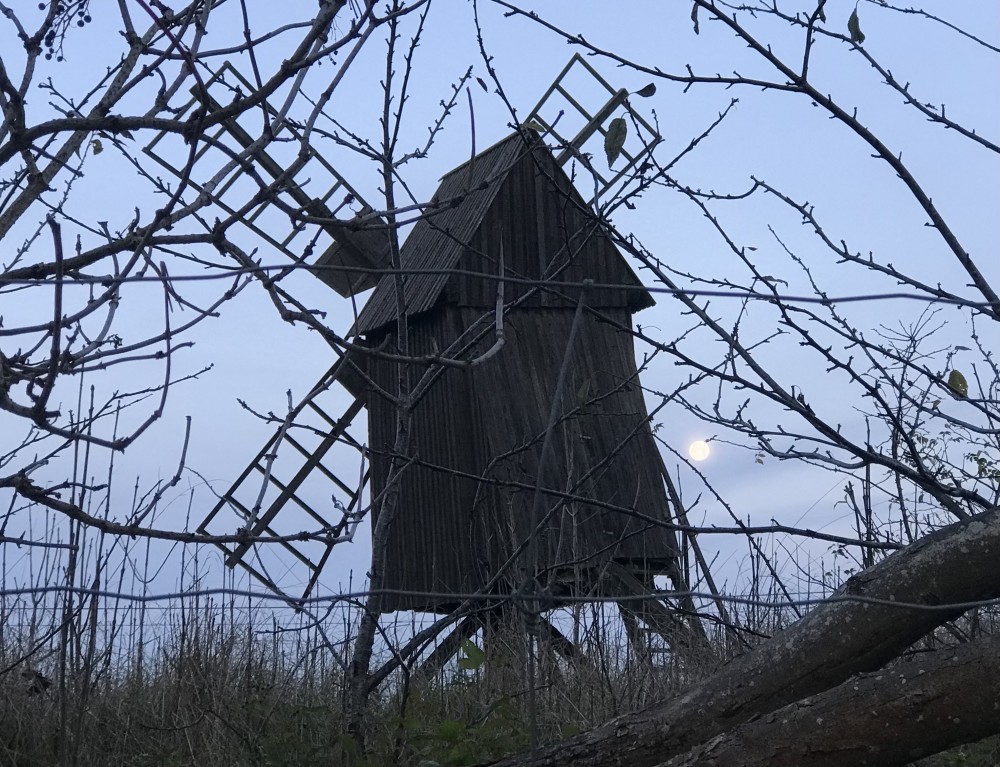 7 jan Årsmöte avd Kalmar län mynewsdesk.com/se/svenska_dow…