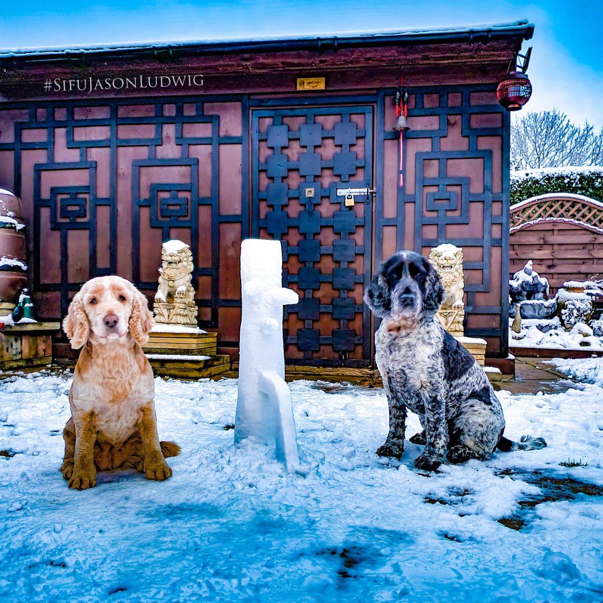 SifuLudwig's tweet photo. Jodie, Murphy &amp; the Snow Dummy...

#dog #cocker #cockerspaniel #snow #woodendummy #wingchundummy #snowman #snow #winter #wckuk #kungfu #croydon #caterham #london #southlondon #southnorwood #sanderstead #warlingham #purley #sculpture #wingtsun #wingchunkuen #wingchunkungfu #sifu https://t.co/dGoN3Xw5mF