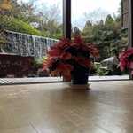 ツイートに含まれる画像