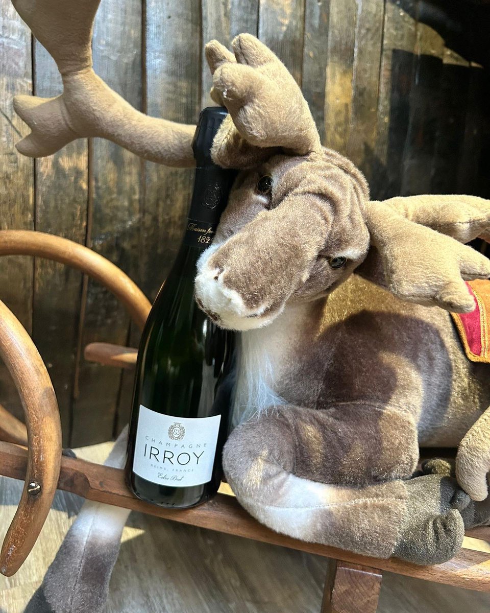 MoretonWine's tweet photo. Grab a bottle of Irroy champagne for your festive celebrations 🥂🥳 

It’s dry, made with 70% Pinot Noir and Pinot Meunier (which adds the fruit 🍇) and 30% Chardonnay (which brings the toast and creaminess👌🏼). 

#champagne #irroychampagne #sparklingwine #fizz https://t.co/x8IRlYvPtU