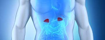 KarenBlixen18's tweet image. Chemistry was preceded by its #protoscience, #alchemy, which operated a non-scientific approach to understanding the constituents of #matter and their #interactions. Despite being unsuccessful in explaining the nature of matter and its #transformations