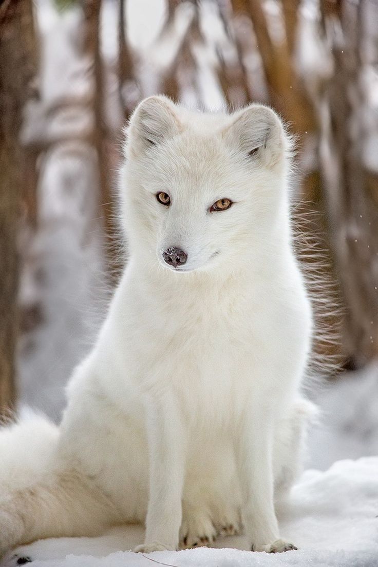 Anne Louise Avery tweet media