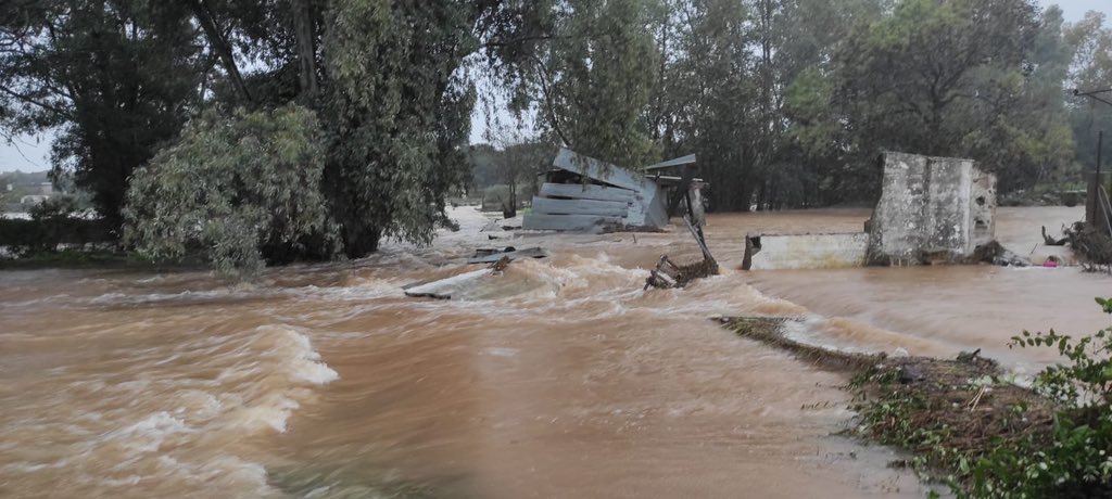 EmylRamos's tweet photo. Efectos de #borrascaefrain a su paso por La Galga, en el término municipal de Alburquerque, en paralelo a la #EX110. Destrozos considerables en parcelas y segundas residencias… https://t.co/oP7oj8RAKc