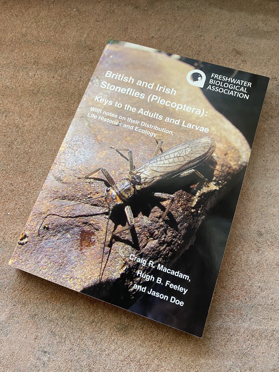 freshwaterbio's tweet photo. The new British and Irish Stoneflies key is a fabulous book. It’s sure to be a must have for all freshwater ecologists! Buy your copy today in our on-line store. https://t.co/1eXtUdjxu1