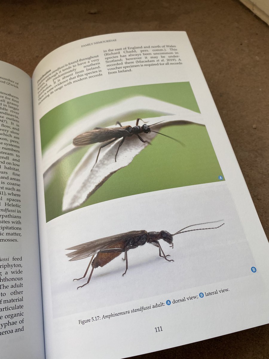 freshwaterbio's tweet photo. The new British and Irish Stoneflies key is a fabulous book. It’s sure to be a must have for all freshwater ecologists! Buy your copy today in our on-line store. https://t.co/1eXtUdjxu1