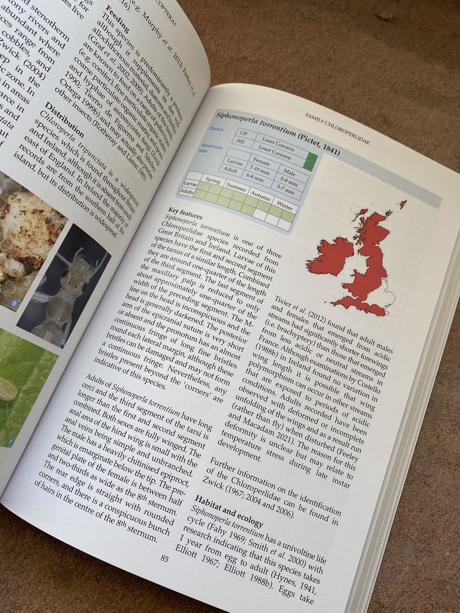 The new British and Irish Stoneflies key is a fabulous book. It’s sure to be a must have for all freshwater ecologists! Buy your copy today in our on-line store.