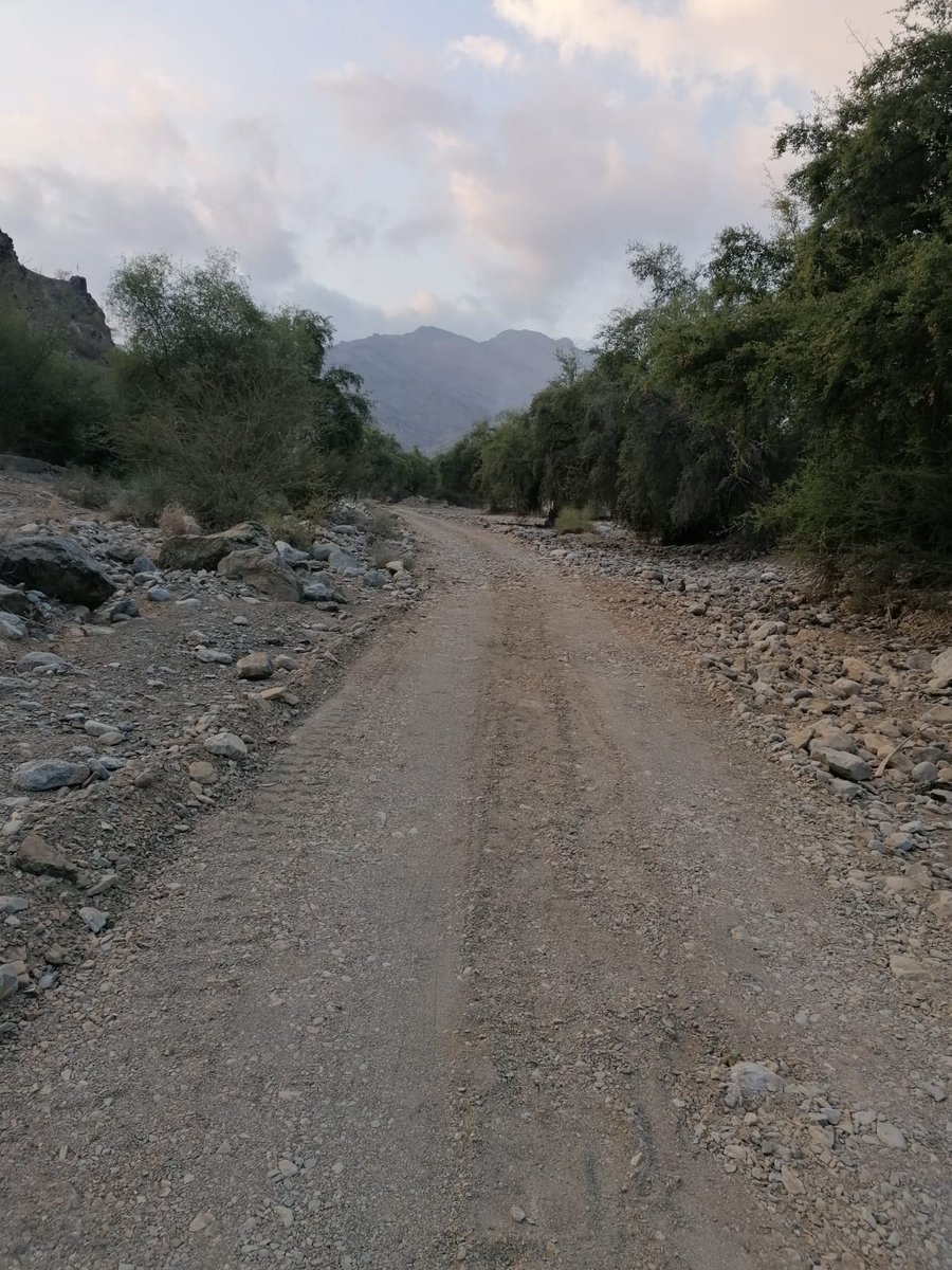 حيبي تستعد لمسير حيبي الأول يوم السبت الموافق ١٧ ديسمبر ٢٠٢٢.