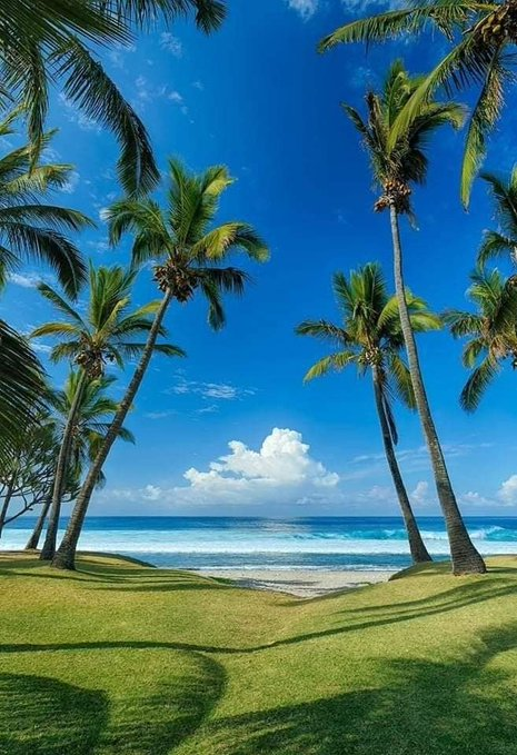 AtlaechAtlas's tweet photo. “#Meet me where# the #sky #embrace the #sea.” ... https://t.co/SSqqV6FrdN