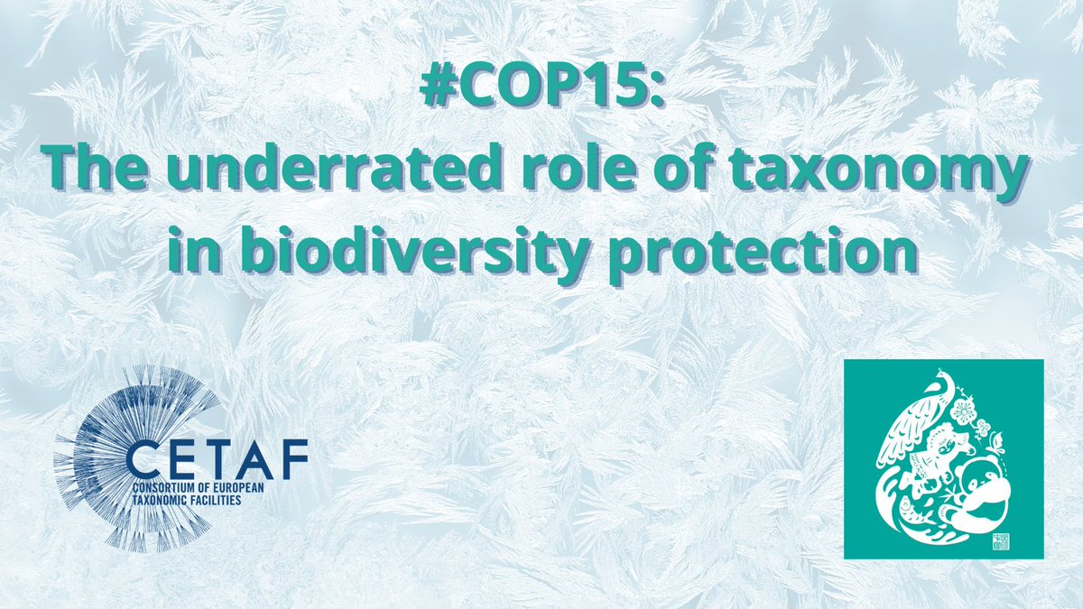 eurotaxonomy's tweet photo. 🍃Here's the official position of #CETAF community about the fundamental role of #taxonomy in protecting Nature and reducing #BiodiversityLoss. It's particularly significant to push it these days of #COP15 @UNBiodiversity #ForNature because we need a plan! https://t.co/xwLUZtV7ah https://t.co/OCVLzPJe0N