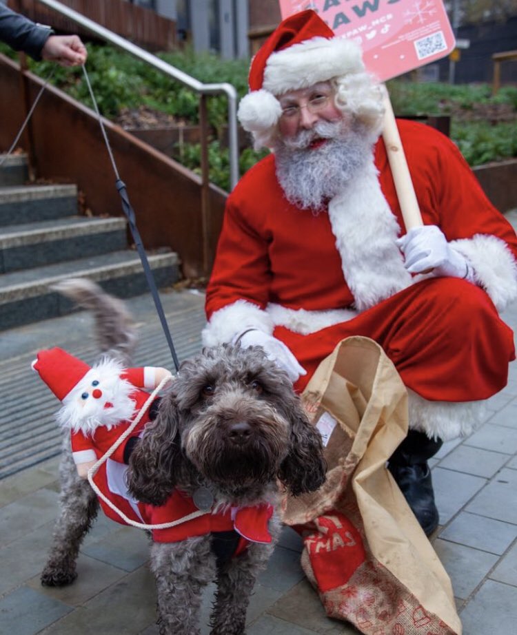 ExPaw_mcr's tweet photo. View all our photos from our FURBULOUS Santa Paws event on our Facebook page now! π
πΎ
https://t.co/V0EBItyjMd
#manchester #manchesterevents #manchesterdogs https://t.co/7mQ2VqIkDu