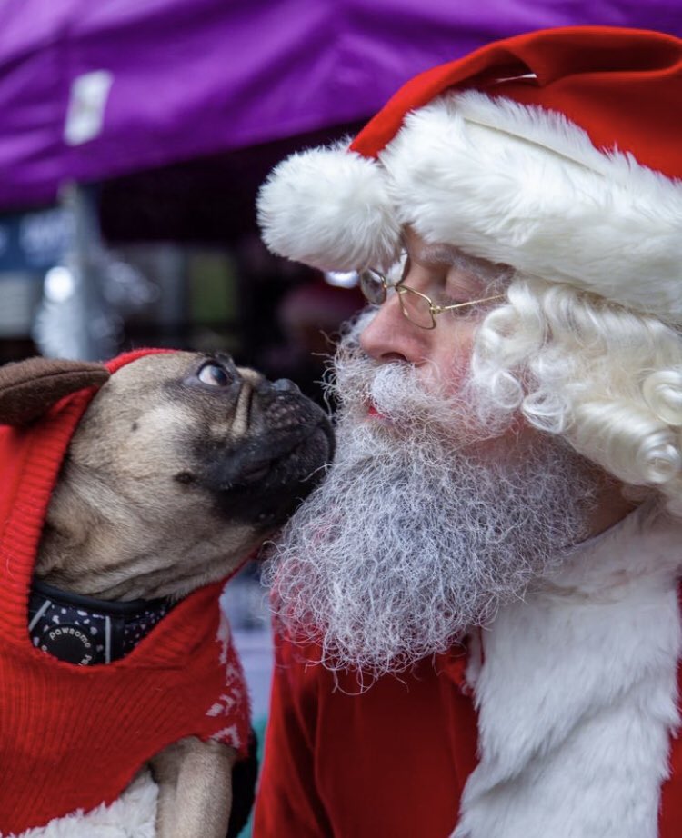 ExPaw_mcr's tweet photo. View all our photos from our FURBULOUS Santa Paws event on our Facebook page now! π
πΎ
https://t.co/V0EBItyjMd
#manchester #manchesterevents #manchesterdogs https://t.co/7mQ2VqIkDu