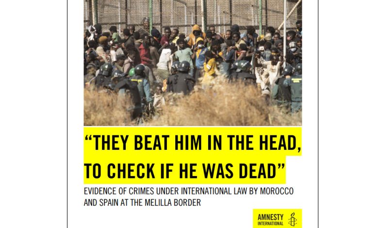 amnestypress tweet media