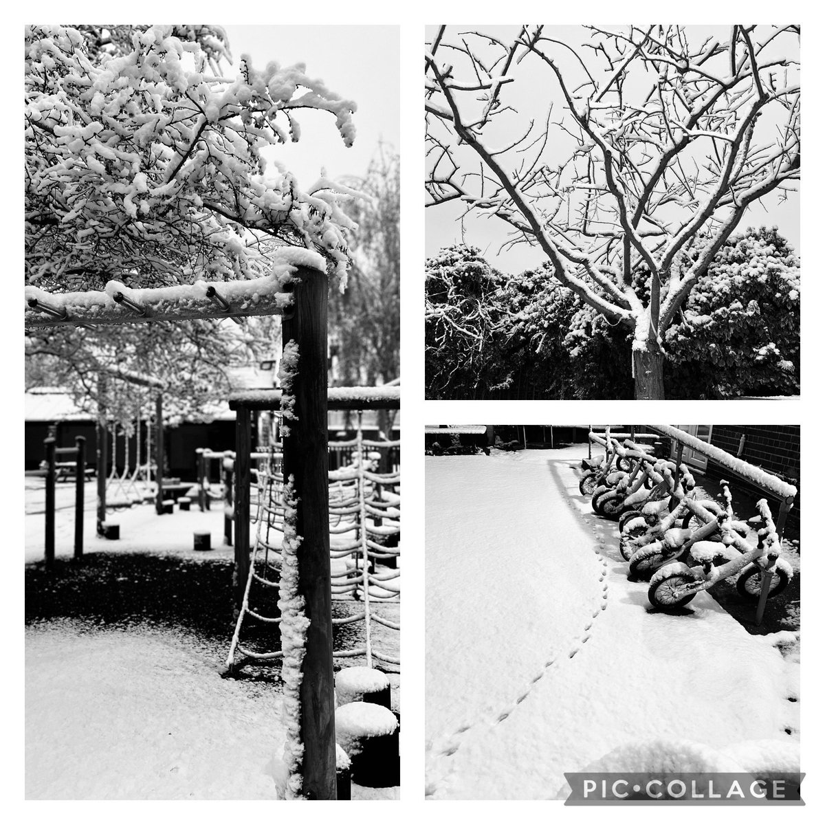 Reception@fircroft.family tweet media