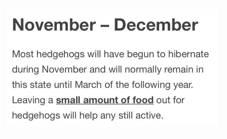 WatchNcl's tweet photo. 📌 NEW MONTH 📌

⏰ Hibernation time 

Every month #Hedgehogs will be doing different things and it is SO important that we know exactly what they are up to so that we can help them in the best way possible!

Sooo what are they up to this month? 

[ Source: Hedgehog Street ] https://t.co/B4GyDFrYNe