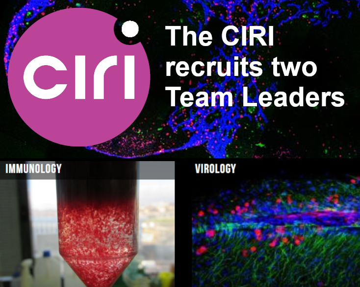 Le CIRI recherche deux nouvelles/nouveaux chefs d'équipe en virologie et en immunologie.

CIRI seeks two new team leaders in immunology and virology. 

ciri.ens-lyon.fr/ciri/news/CE

Deadline : March, 31
Please RT - Merci de vos RT.