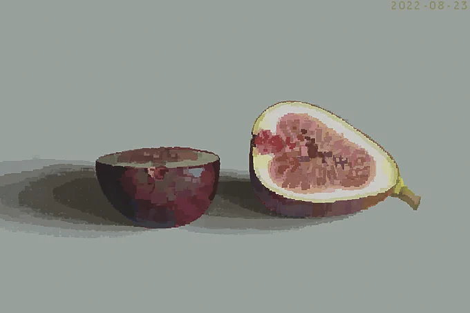 無花果 