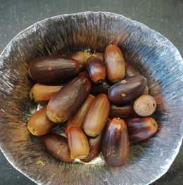 WildFood_PRIMA's tweet photo. Regarding the Acorn pilot project, do you want to know what results we expect about its production? 

Take a look to this project presentation paper to know what we're expecting 
📝👉 https://t.co/E9HLQlFIXV 

#WildFoodProject #WildFoodProducts https://t.co/cAcflhYFF2