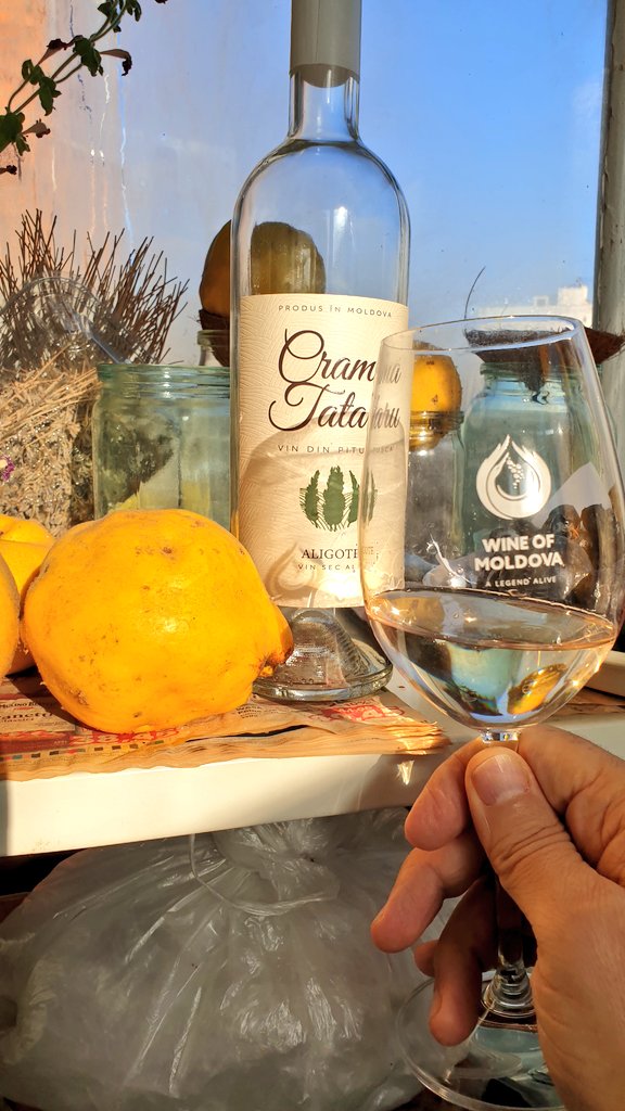 Enjoying this fabulous #aligote for lunch on a glorious sunny 🌞 😎 day...from a small producer near #Calarasi ..The #quince s are still 🔥 👌 holding up well...and salted #pumpkin seeds are my nibbles #food #wine
