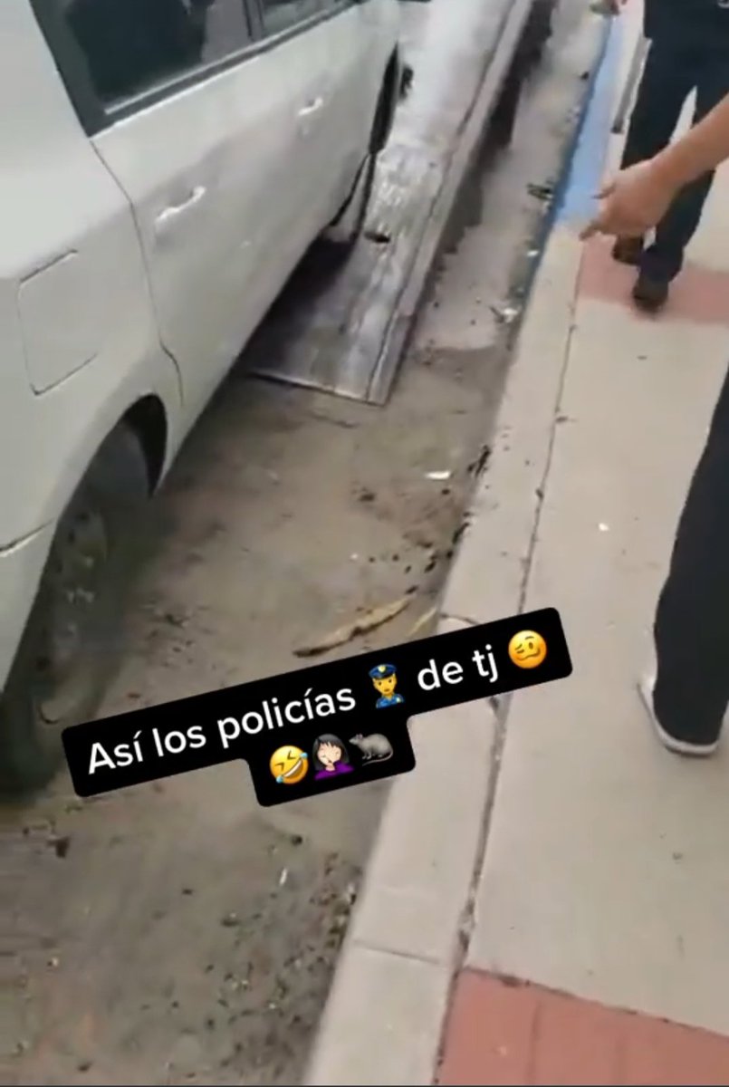 JacobHerreraE's tweet photo. Así la #policia #gruas #corrupta de #Tijuana #Mexico Querían #remolcar un #carro que no estaba en azul pero como los #grabaron lo bajaron El mismo #policía #rata de siempre @GobiernoMX @AlcaldiaTijuana #noticia #corrupcion @FGEBC https://t.co/Q2JMcuKbio