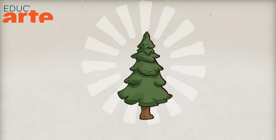 🎅Woher kommt eigentlich die #Tradition, sich an #Weihnachten einen geschmückten Tannenbaum ins Wohnzimmer zu stellen? 🎄✨

😍Die Antwort findet sich hier: 

👉bit.ly/3iOkNso