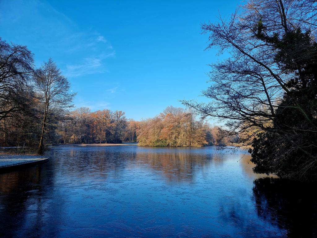 Mooie strakke ijsvloer in park Sonsbeek 😃 #arnhem