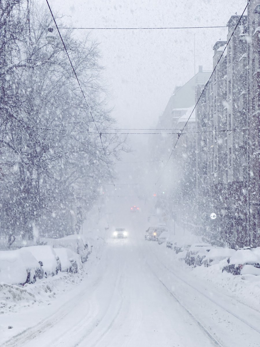 ♏️ℹ️ⓔⓂ️🅾️ ⏩️ @miemo@mastodon.social tweet media