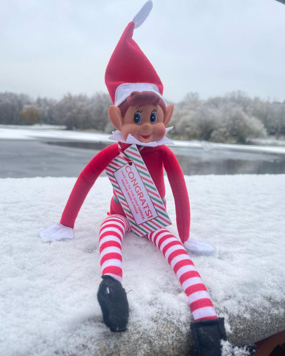 SilvermereGC's tweet photo. ๐ COMPETITION ๐
Starting today... And everyday up until Christmas our ๐ELF๐ will be hiding in a different location at #Silvermere
Find the elf and WIN a different prize each day ๐
#elfontheshelf #silvermere #christmas https://t.co/NIoit6W3zx