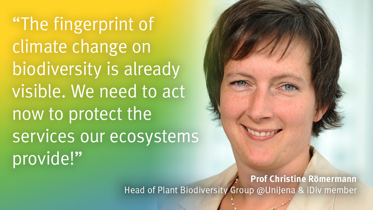 idiv's tweet photo. #COP15 #biodiversity #climate https://t.co/VTxQSH7CwR