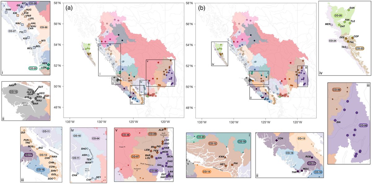 EvolAppJournal's tweet photo. Re-evaluating Coho salmon (Oncorhynchus kisutch) conservation units in Canada using genomic data
https://t.co/j2PtZoq6Tv
by Xuereb et al
@AmandaXuereb23 @LouBernatchez @QuentinREvo
#conservation #genomics #planning #GenotypingBySequencing #salmon https://t.co/AsrWtjJuBr