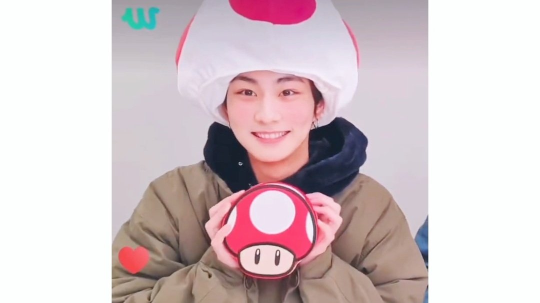 meltyorheart's tweet photo. how the cat become mushroom https://t.co/fcw9kA5LXI