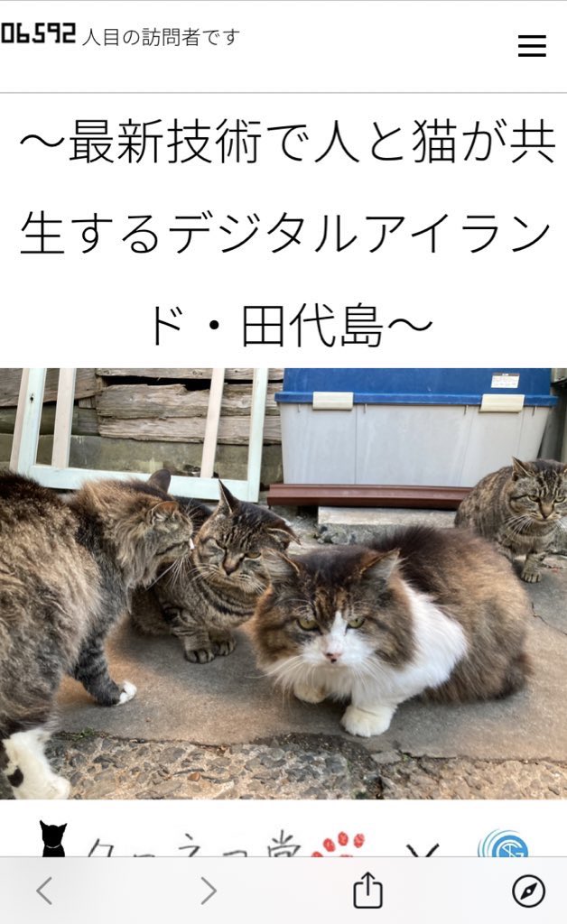 クロネコ堂 田代島 Kuronekotashiro Twitter
