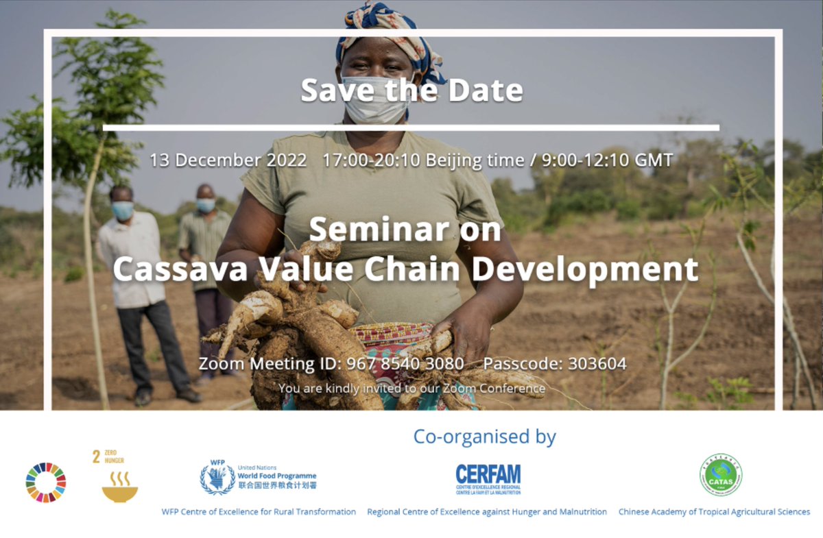 patcriolo's tweet photo. ✅ Honored to deliver opening remarks at the Seminar on Cassava Value Chain Develop. today

Org. by @WFP CoExcellence 4 Rural Transform., @WFP_CERFAM &amp; China Academy of Tropical Agri. Sciences (CATAS), the seminar aims to share countries’ experience &amp; good practice on #cassava https://t.co/LcoFBLGtsM