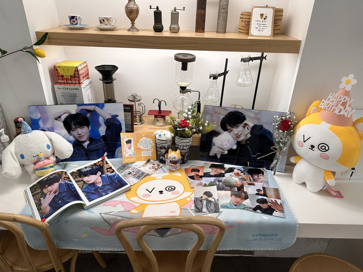 로차니 tweet media