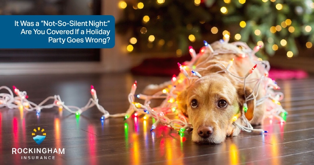 Rockingham_Ins's tweet photo. We have all heard the stories. But what happens if a holiday party goes wrong? Our claims expert shares a few what-ifs in this week's Quotable blog >>> https://t.co/spfsWsHYkP
#Blog #HappyHolidays #HolidayPartyFails #Quotable #Insurance #ProtectWhatMatters https://t.co/eoxu5CUmTq