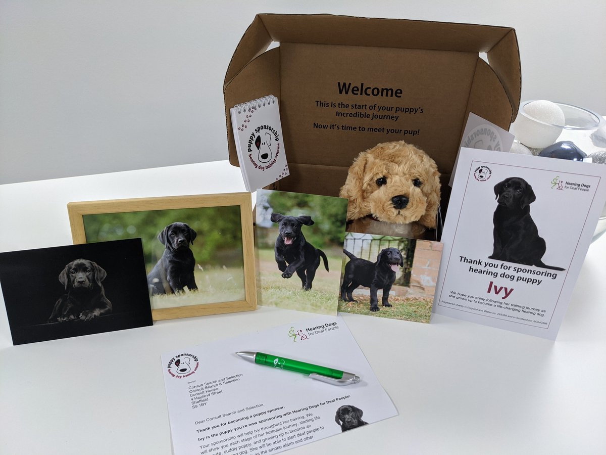 Consult_Search's tweet photo. *PUPDATE* All 4 our puppies are now sponsored &amp; look what wonderful pack we received for each of them🐾We're proud to be supporting the work that @HearingDogs for #deaf people are doing!
Good Luck on your journey pups!
#hearingloss #supportdogs #assistancedog #hearingimpaired https://t.co/WwQIR0Q1yZ