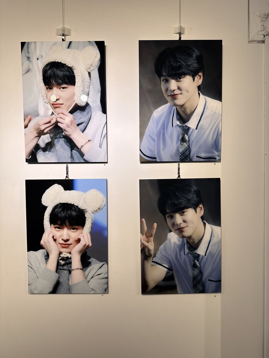 로차니 tweet media