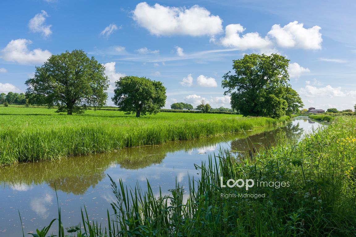 LoopImages (@loopimages) on Twitter photo The Bridgwater and Taunton Canal in the countryside at Creech St Michael <a href="/CraigJoinerPics/">Craig Joiner</a> #somerset #bluesky #summer #westcountry #sunshine #countryside #river #canal #rural #meadow #clouds The Bridgwater and Taunton Canal in the countryside at Creech St Michael <a href="/CraigJoinerPics/">Craig Joiner</a> #somerset #bluesky #summer #westcountry #sunshine #countryside #river #canal #rural #meadow #clouds