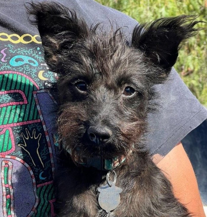 Still available
 🌻🌻
His name is sonelal
Available on <a href="/opensea/">OpenSea</a>

He is very cute 
It's price 💥 0.002 eth 
Polygon blockchain 💥 

Link is below 

opensea.io/assets/ethereu…