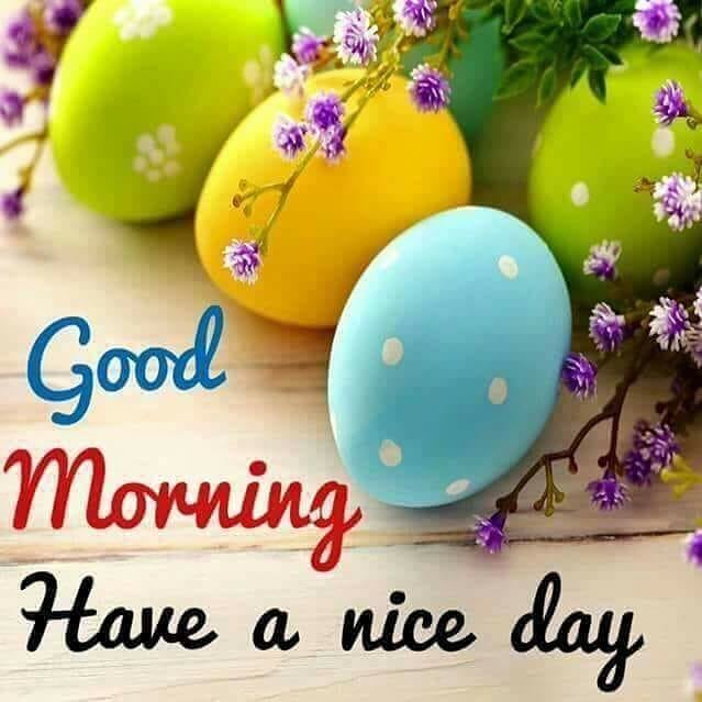 🟥 Good Morning Love. Download our Good Morning APP 👉 bit.ly/MyGoodMorningA… 👈 #goodmorning #goodmorningquotes #goodmorningimages