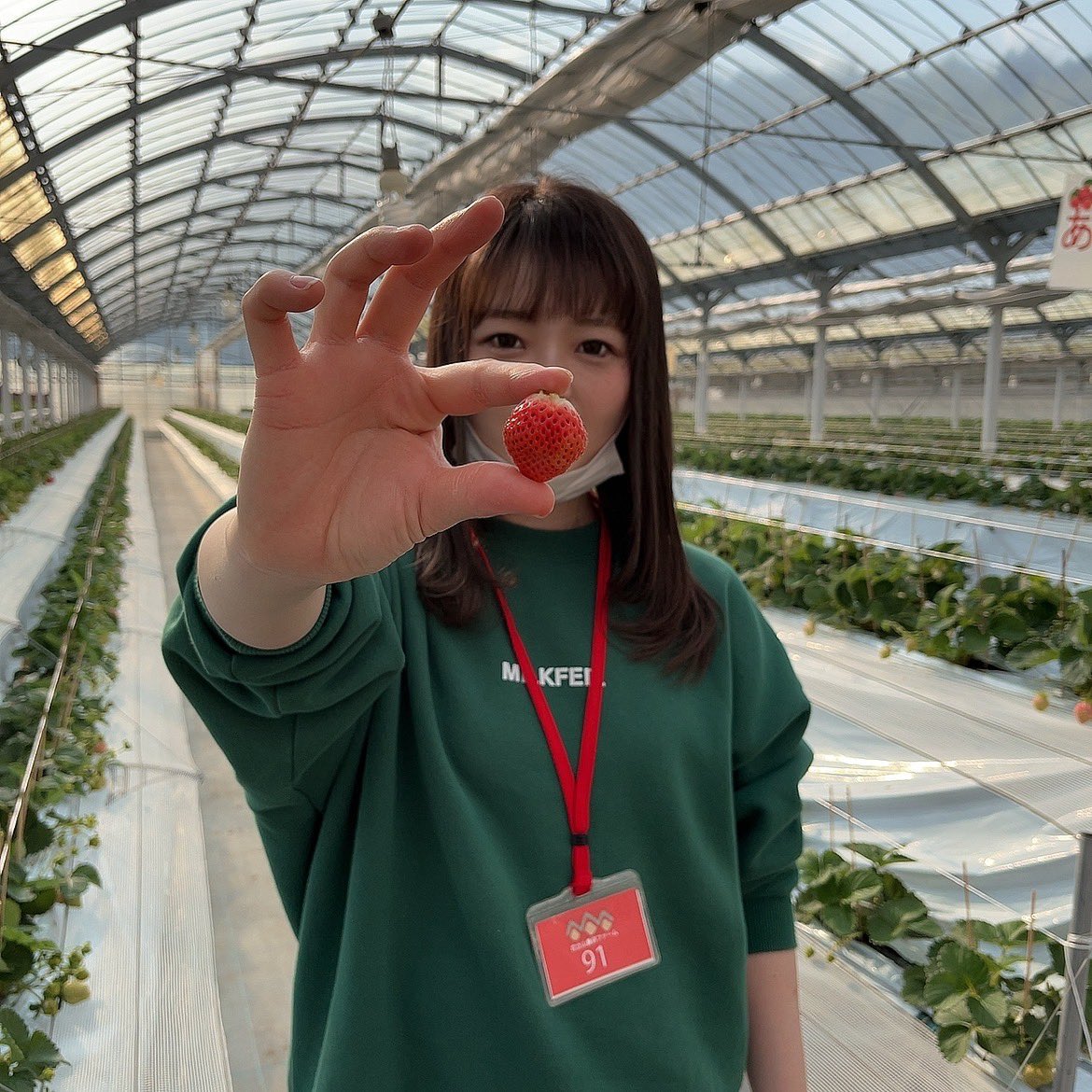 antloop_yp's tweet photo. ひと狩り行ってきました🍓
4種類食べ比べした🫢美味しかった(,,•﹏•,,)♡ https://t.co/mH8hf5iyKy