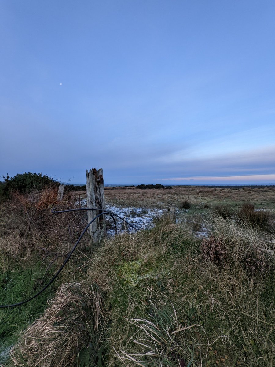 sallyannsbags's tweet photo. Not so sunny today, but a wicked wind chill with strong easterly winds. Still very much 🥶🥶🥶#morningwalk #westclare #coldweather #notusedtoit https://t.co/tXKxBwdrjE