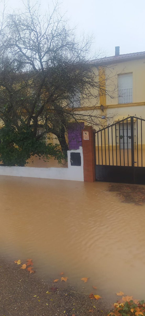 luis_galn's tweet image. Pues los trabajos de prevención no han sido muy eficientes. En el colegio Paideia hoy no han podido dar clases por encontrarse inundado a consecuencia de una urbanización nefasta de la zona, hecho que se lleva denunciando hace años.