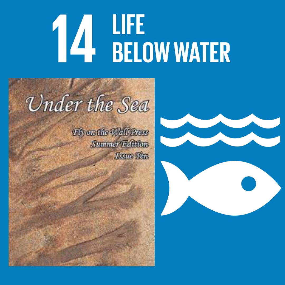 It's Day 14 of #17Booksfor17SDGs and The @UN's #LifeBelowWater
We've chosen Under The Sea from @fly_press
16 international creatives explore the deep. Women falling for the tides; whales joyously dance; Creatures growing sea urchin hearts, while others eat human ones
#CitiesofLit