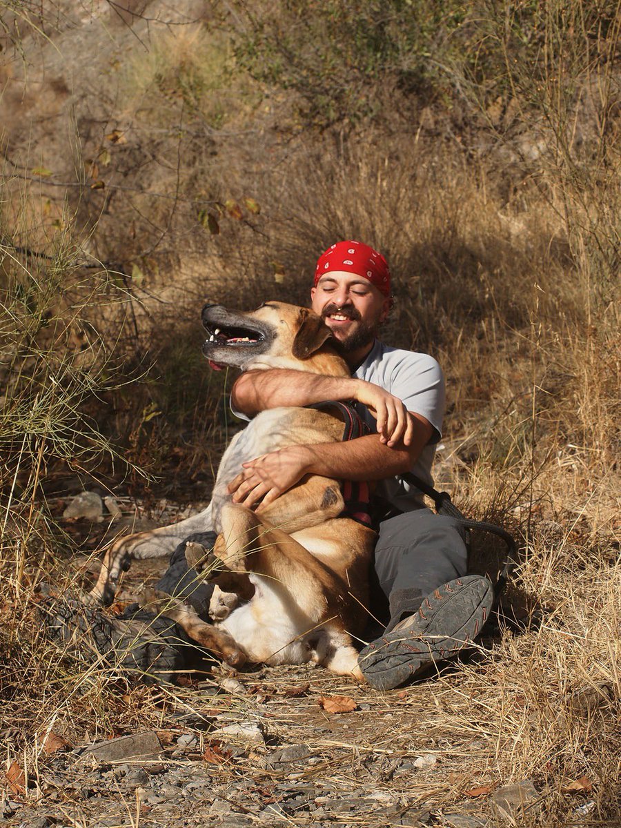 protemalaga's tweet photo. Romero,4 años,tamaño grande. 
A pesar de que su familia lo abandonó,no guarda rencor a las personas y adora jugar con nosotros y con su compi hembra. Con la correa tira un poquito,por las ganas de explorar que tiene. Si quieres darle una nueva vida📩: moduloc@protectoramalaga.com https://t.co/T7qr5o2Trl